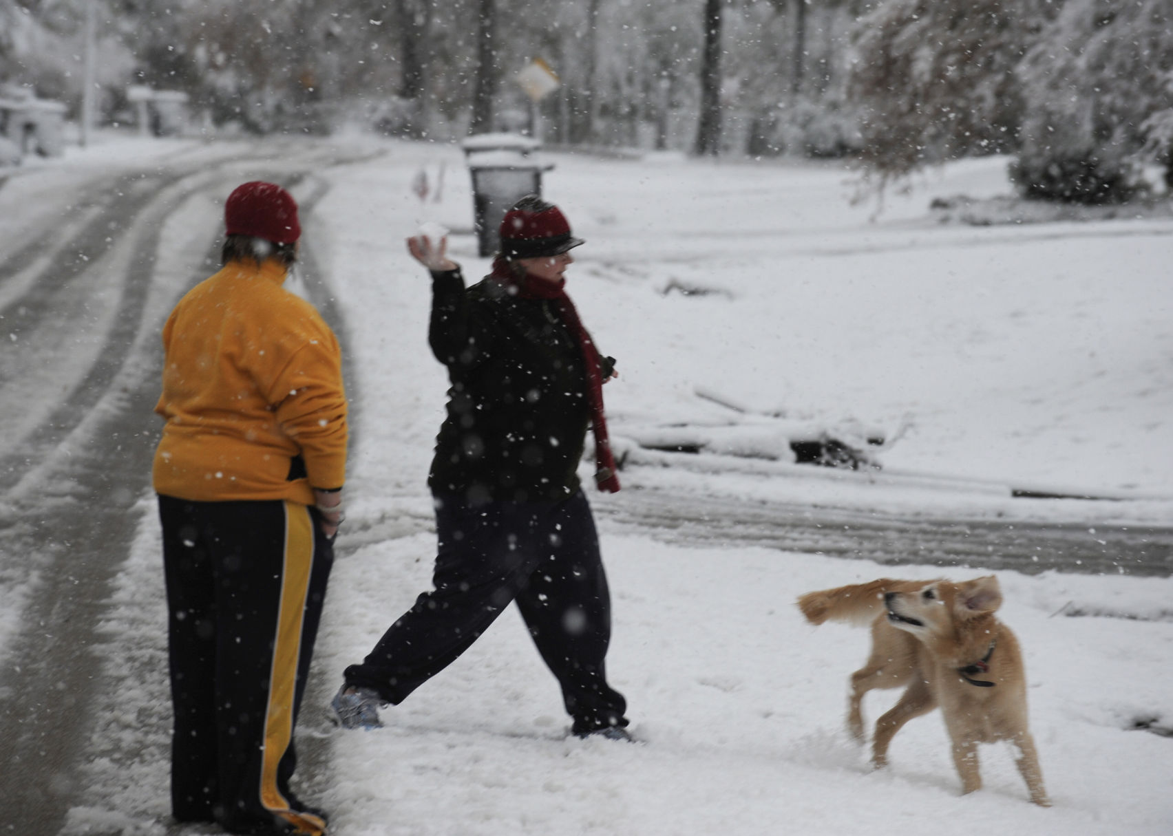 met snowy pd 116.jpg